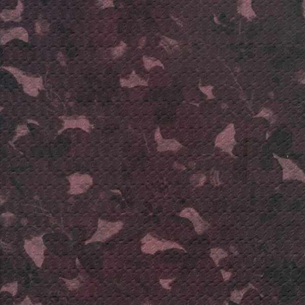 C016